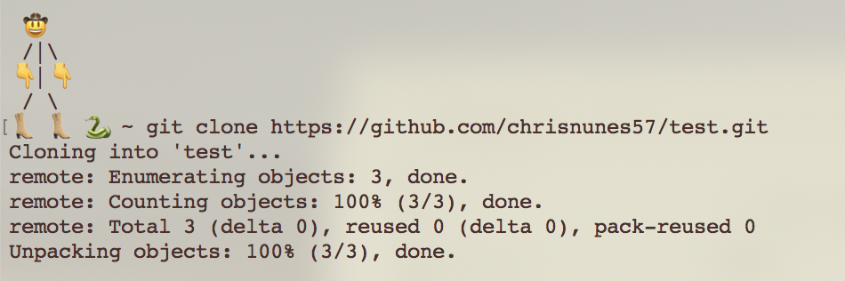 A terminal screen showing the output of the git clone command. It shows how many files were downloaded, and that it successfully cloned the repository