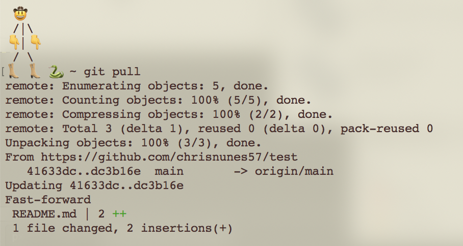 A terminal screen showing the output of the git pull command. It shows that there is one newly-modified file, and that is was updated with a new change.